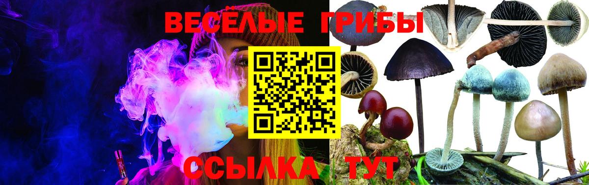 Галлюциногенные грибы мицелий Комсомольск-на-Амуре