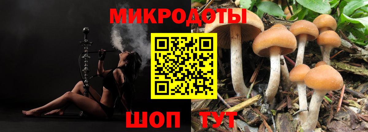 Комсомольск-на-Амуре  Галлюциногенные грибы MAGIC MUSHROOMS  Вход с VPN  Галлюциногенные грибы Psilocybine cubensis 